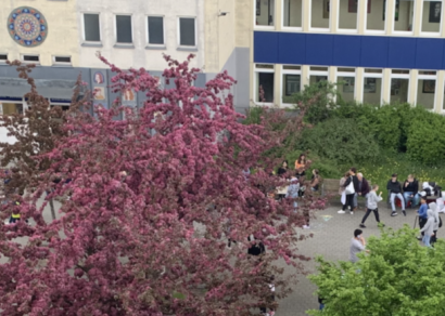 Tagore Gymnasium
