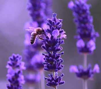 WPU-Exkursion (Klasse 9/10) Biologie/Chemie