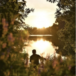 Kreative Zugänge zur Pflichtlektüre HEIMSUCHUNG