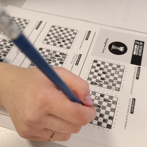 Europäischer Wettbewerb "Schachpferdchen"